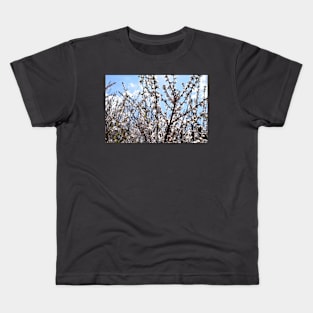 Branches with Tiny Pink Flowers Photograph Kids T-Shirt